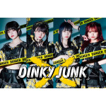 DINKY JUNK