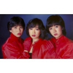 The Cherries ザ・チェリーズ