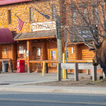 Chilkoot Charlie's