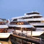 Commodore Cruise