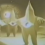 Profile of anna／lostbaggage