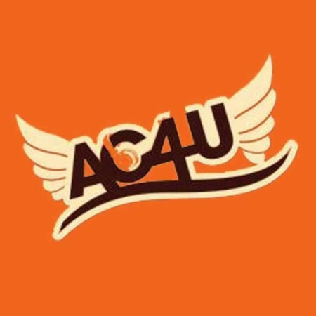AC4U ULIS