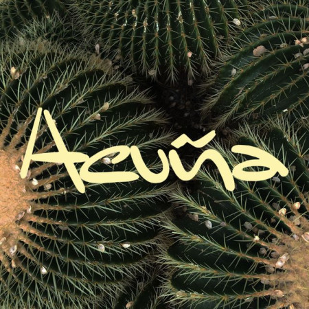 Acuña London