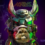 Profile of AKARI SYSTEM