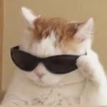 Profile of Alex Kassian