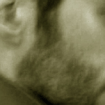 Alex Cortex