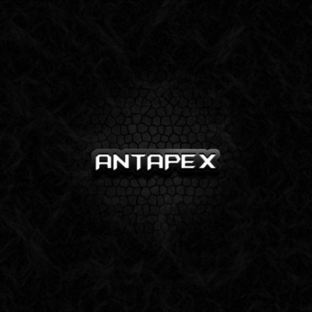 Antapex