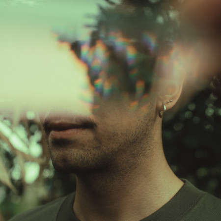 Aural Plant Sonification