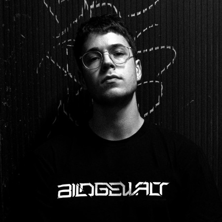 Bildgewalt