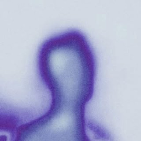 B.E.L.L.