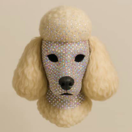 Callherdog