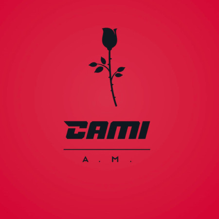 Cami A.M.