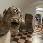 Profile of cemdukkha