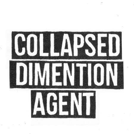 Collapsed Dimention Agent