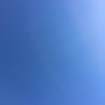 Profile of Koichi Matsunaga