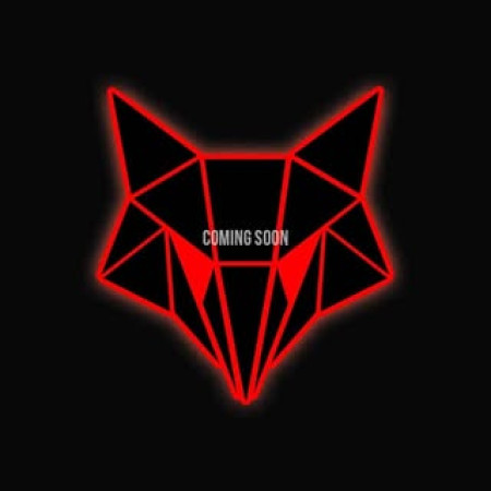 CYBER FOXX