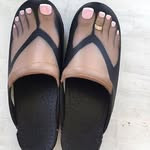 Profile of DAFTY RORN