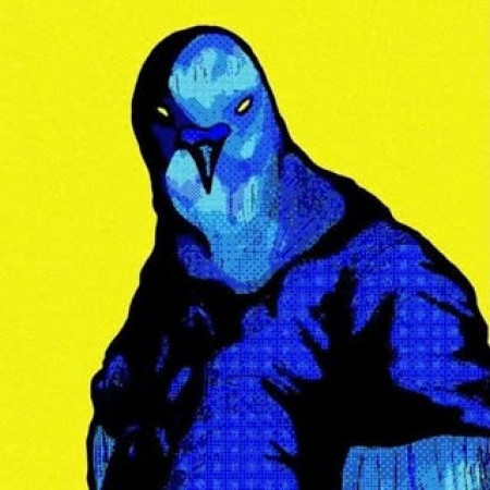 DJ Pigeon