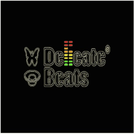 DelicateBeats Steppers Est 96