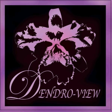 DENDRO-VIEW