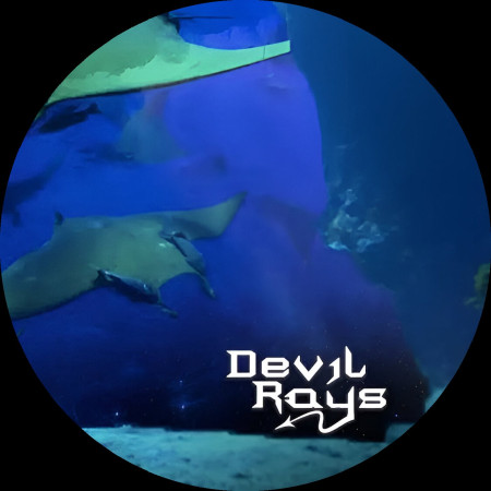 Devil Rays