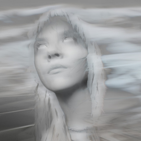 digidaria