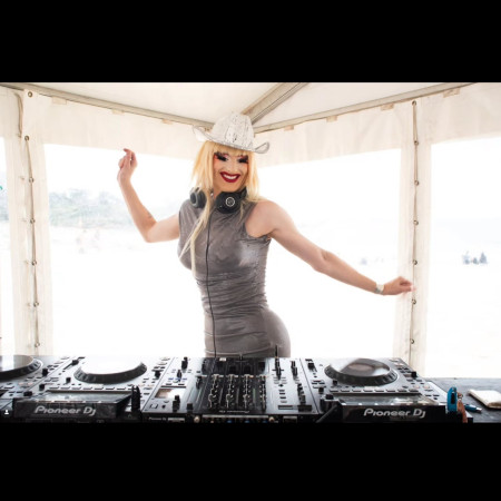 DINGO DISCO