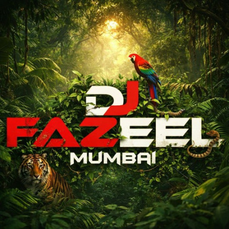 DJ Fazeel Mumbai