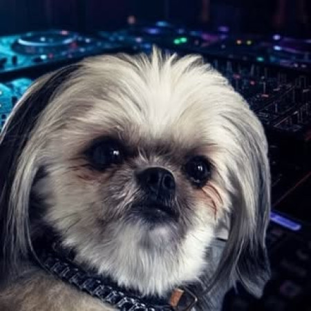 DJ MAME HIKO