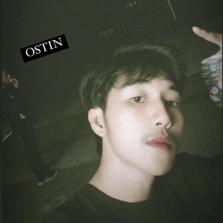 DJ OSTIN