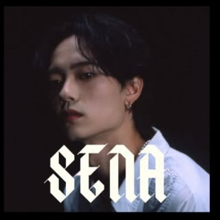 DJ SENA