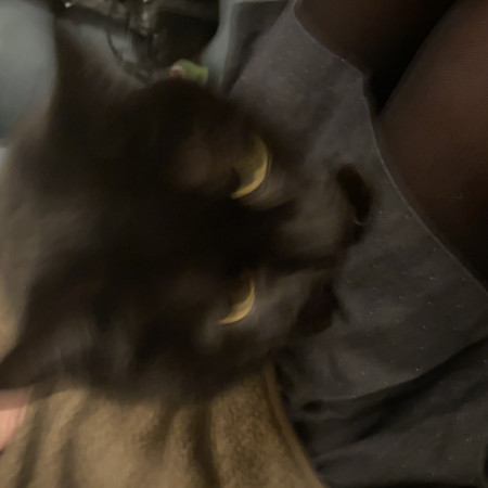 djlaundrybasket