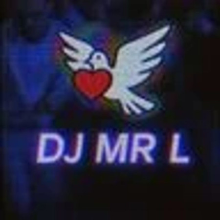 DJ MR . L