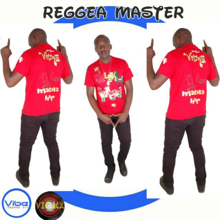 SELECTOR VICKX 254