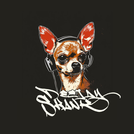 DJ Skank