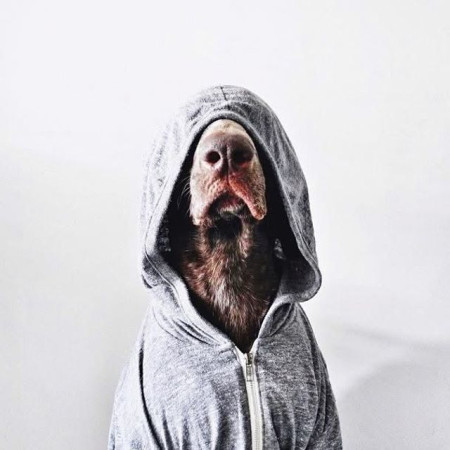 Nikolas Pene aka dogUnknown