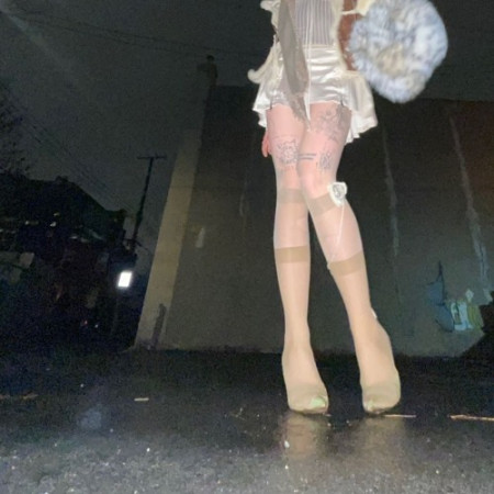 dustBunny