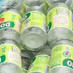 Profile of Eden Burns