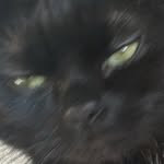 Profile of Kenshin Enaka