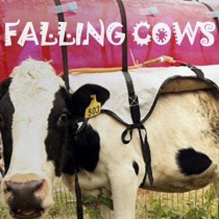 Falling Cows