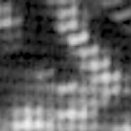 Frieder Blume