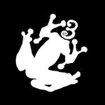 Profile of Frog 3