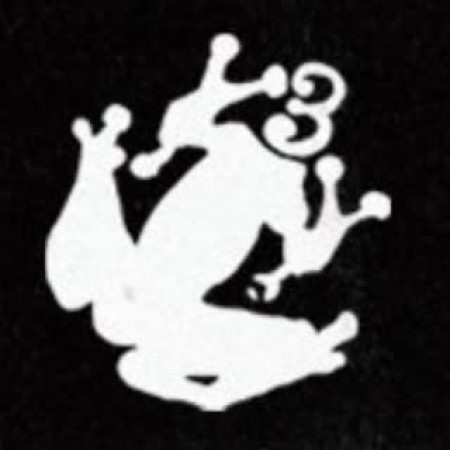 Frog 3