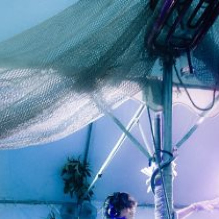 HIDEFUMI WATANABE