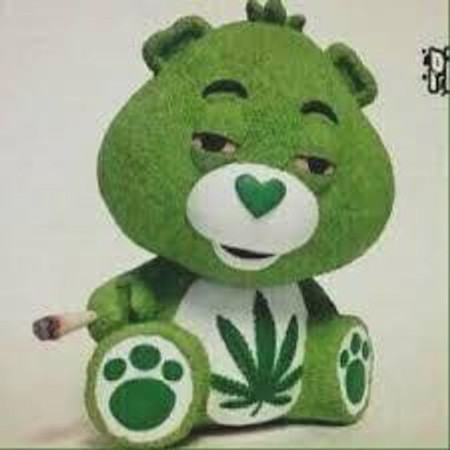 Hồng Thái