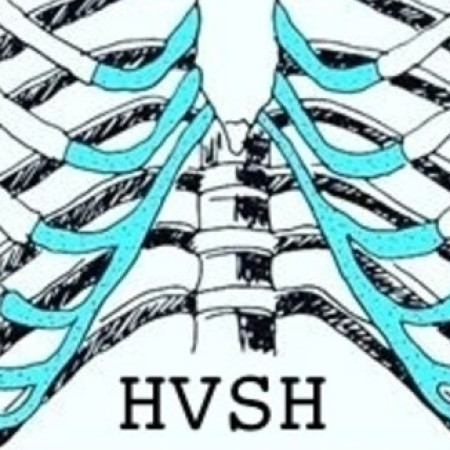 HVSH