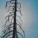 Profile of Mikito Hyakuno