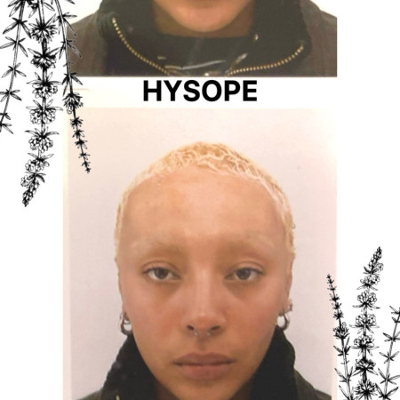 Hysope