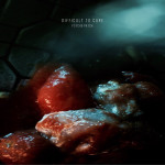 Profile of Illnandes