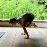 Profile of Jay Zimmermann